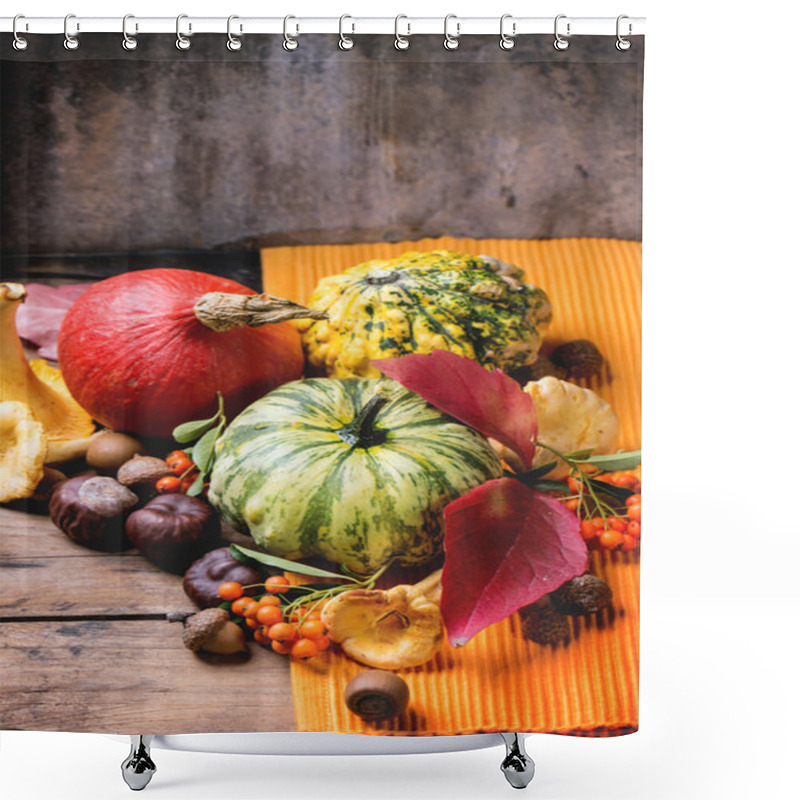 Personality  Pumpkins, Nuts And Berries Shower Curtains