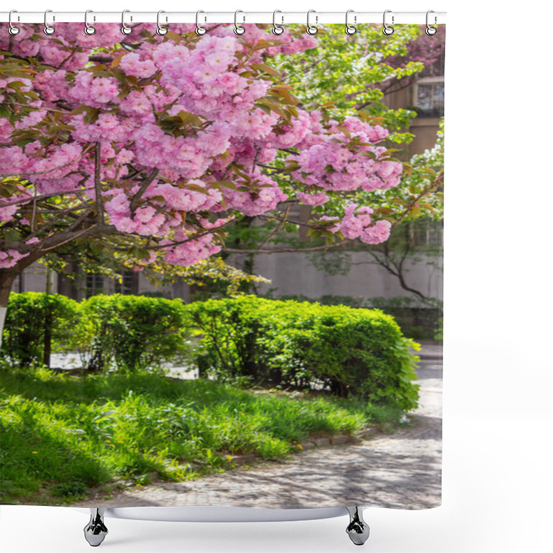 Personality  Pink Flowers Of Sakura Branches Above Grass Shower Curtains