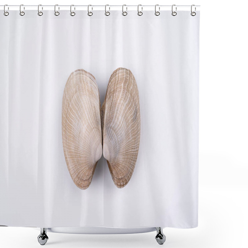 Personality  Exotic Double Sea Shells Isolated On White Background. Concept Of Lungs. Macro Shoot Top View Shower Curtains