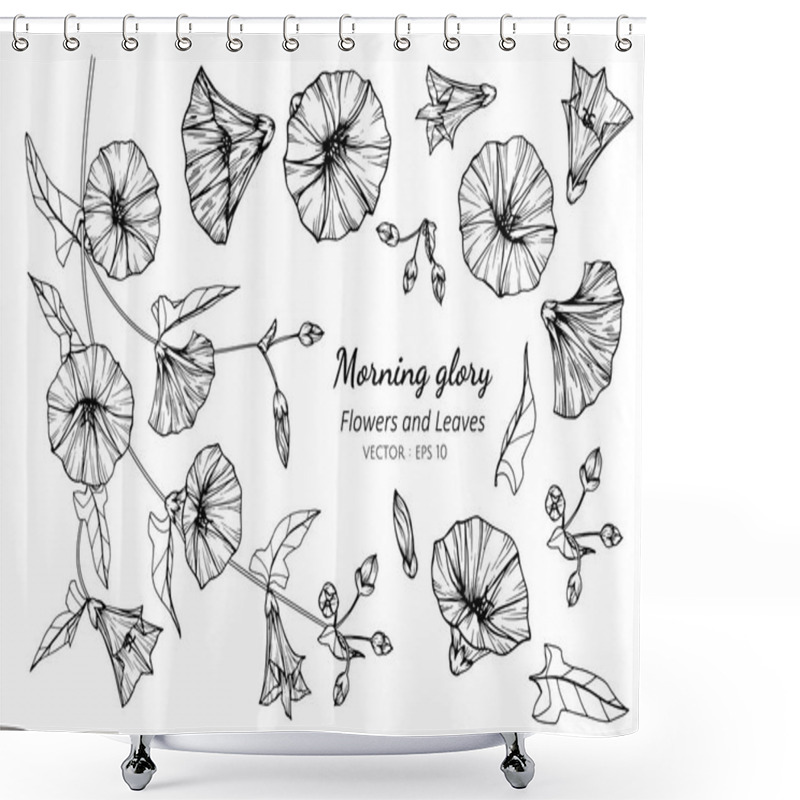 Personality  Collection Set Of Morning Glory Flower And Leaves Drawing Illust Shower Curtains