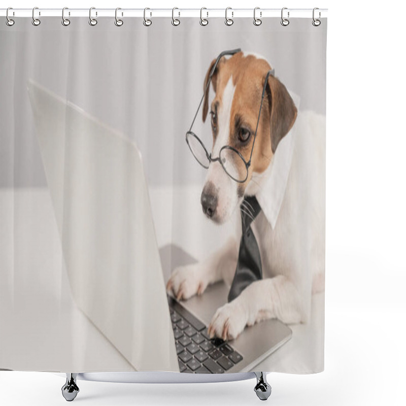 Personality  Cute Jack Russell Terrier Dog Wearing Glasses And A Tie Sits At A Laptop On A White Background Shower Curtains