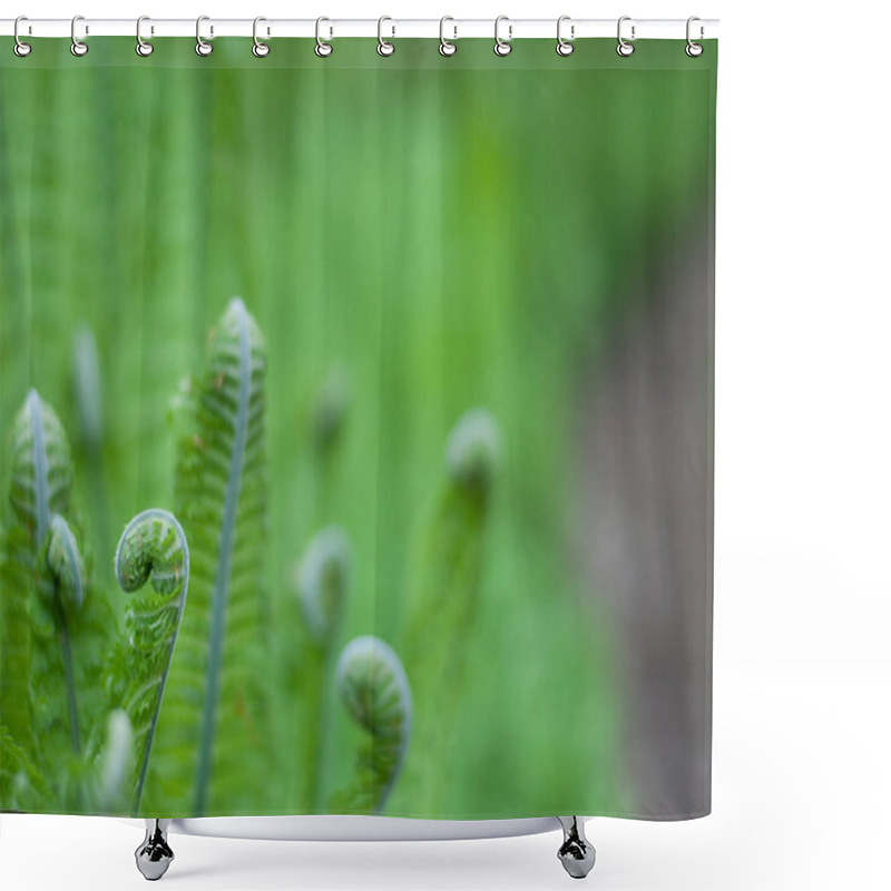 Personality  Young Green Fern  Shower Curtains