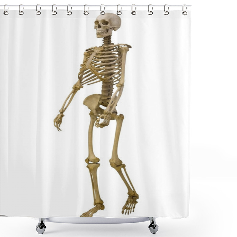 Personality  Human Skeleton Isolated On White Shower Curtains