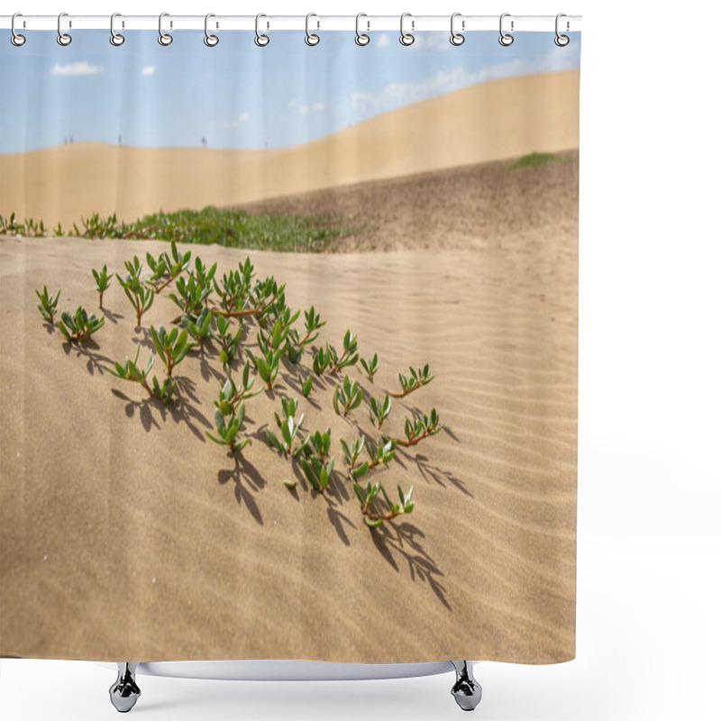 Personality  Green Plants In Sand Dune Against Desert Landscape. Shower Curtains