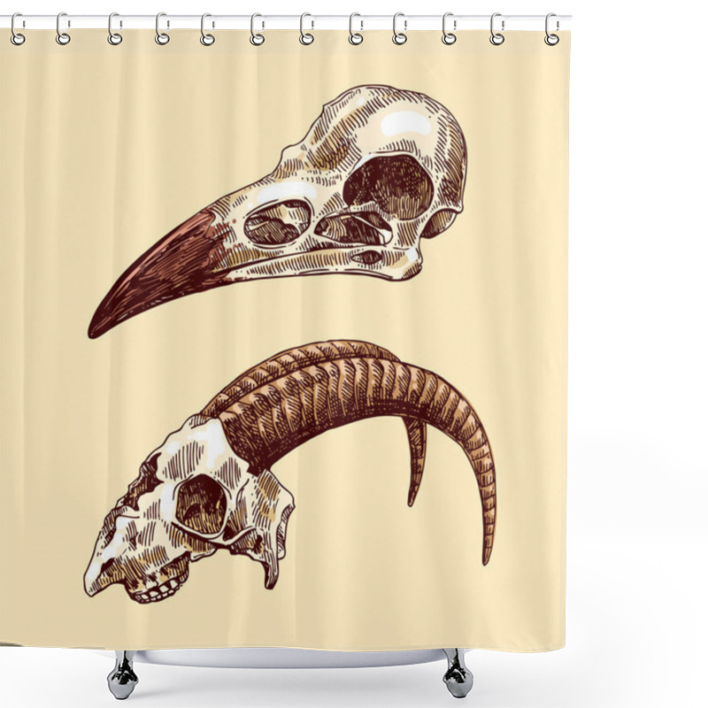 Personality  Illustration  Animal Skulls Shower Curtains