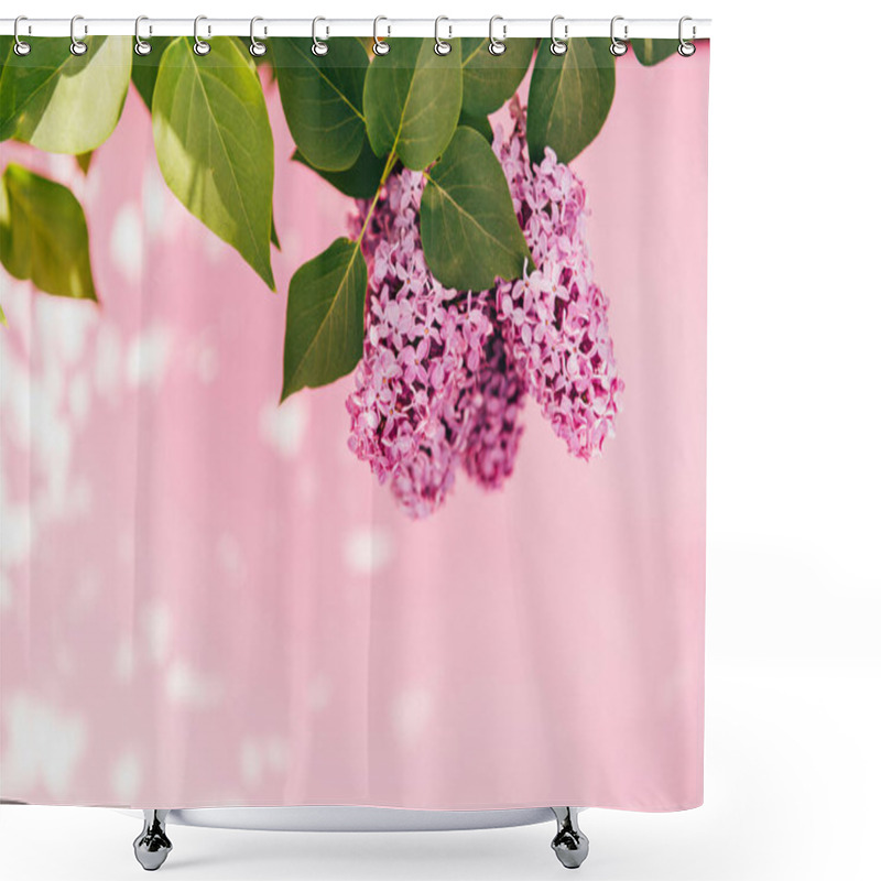 Personality  Vibrant Lilac Flowers Cascading Against A Soft Pink Backdrop. Shower Curtains