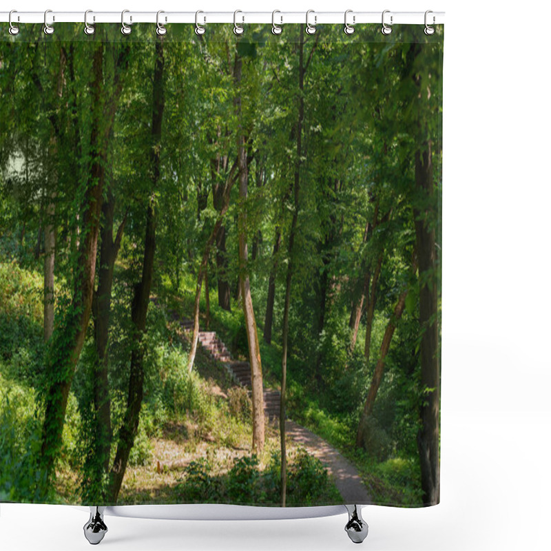 Personality  Scenic View Of Trees In Park And Stairs With Sunlight  Shower Curtains