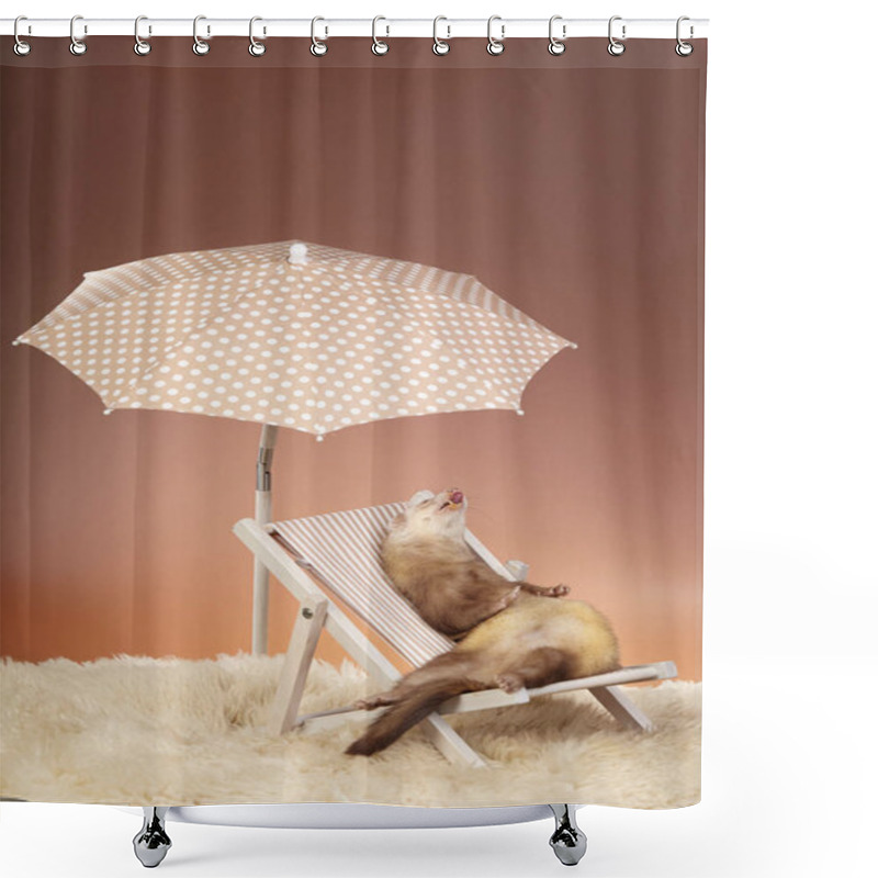 Personality  Champagne Ferret Portrait On Beach Chair In Studio Shower Curtains