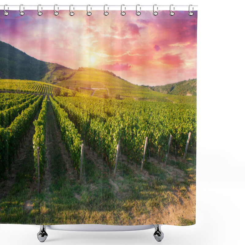 Personality  Extra Wide Panoramic Shot Of A Summer Vineyard Shot At Sunset. High Quality Photo Shower Curtains