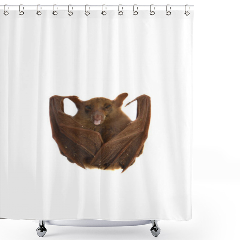 Personality  Little Bat Shower Curtains