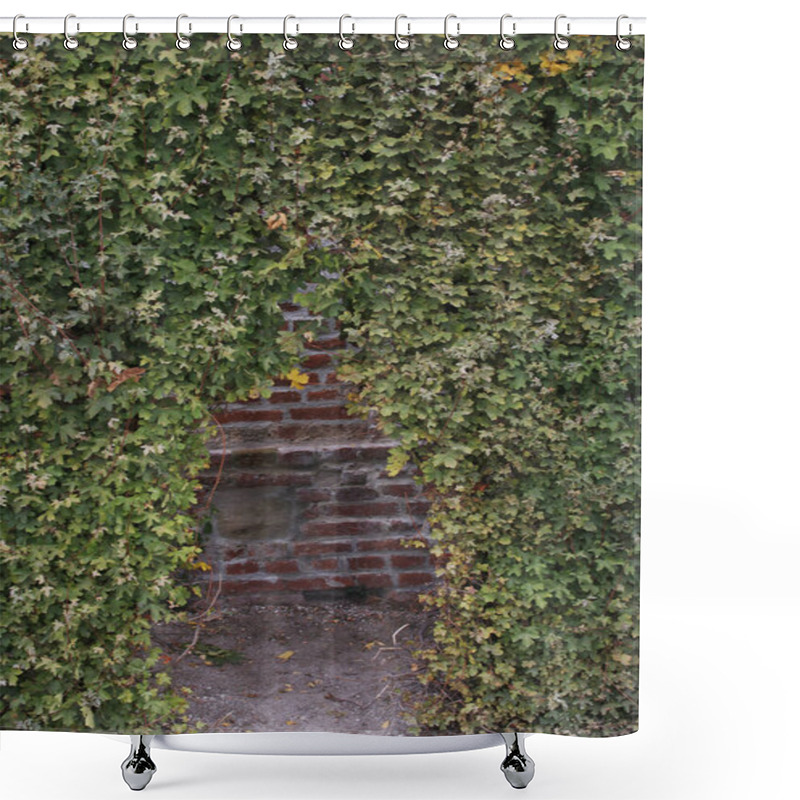 Personality  Wall Covered With Plants Shower Curtains