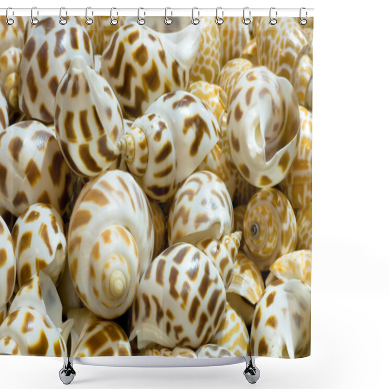 Personality  Shellfish Shower Curtains