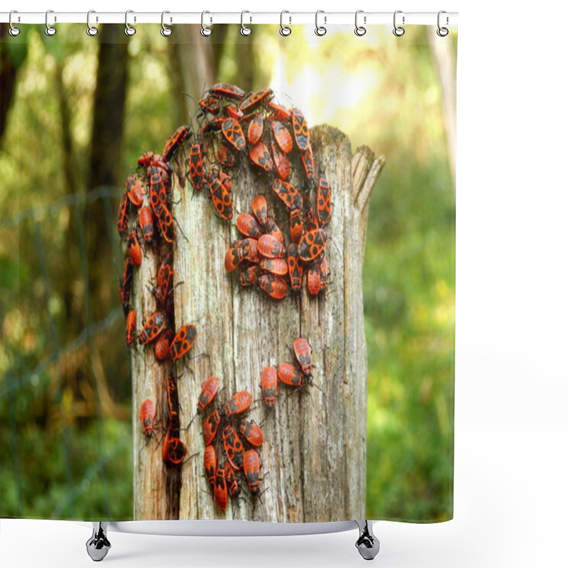 Personality  Firebugs Shower Curtains