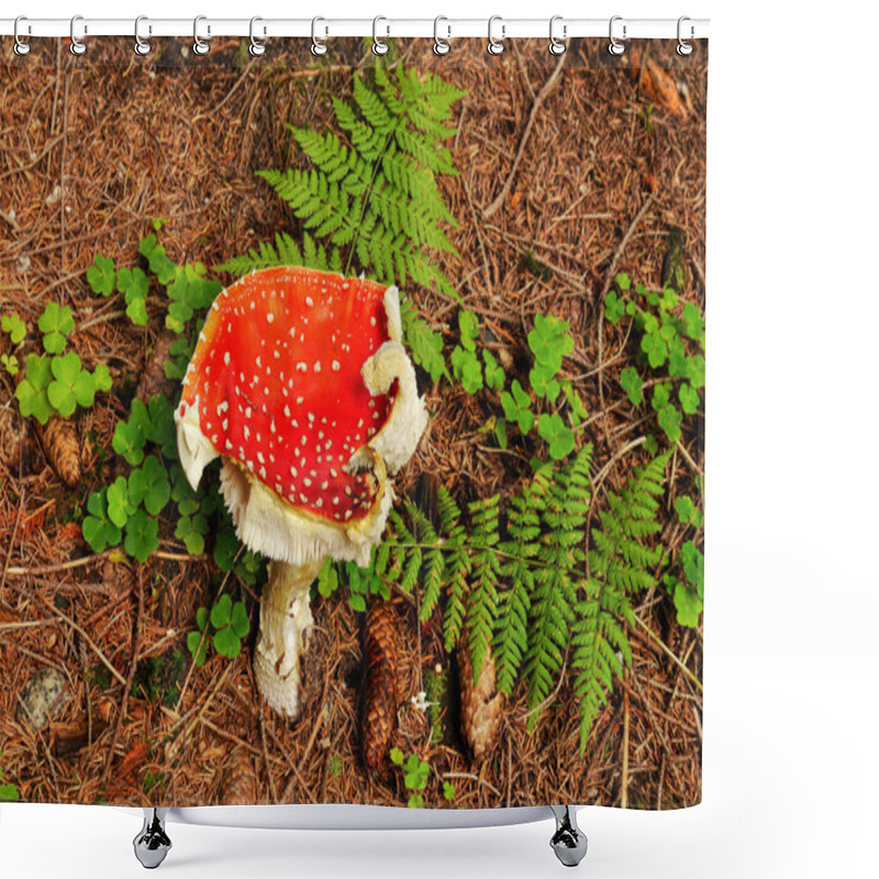 Personality  Amanita Muscaria Mushroom Shower Curtains