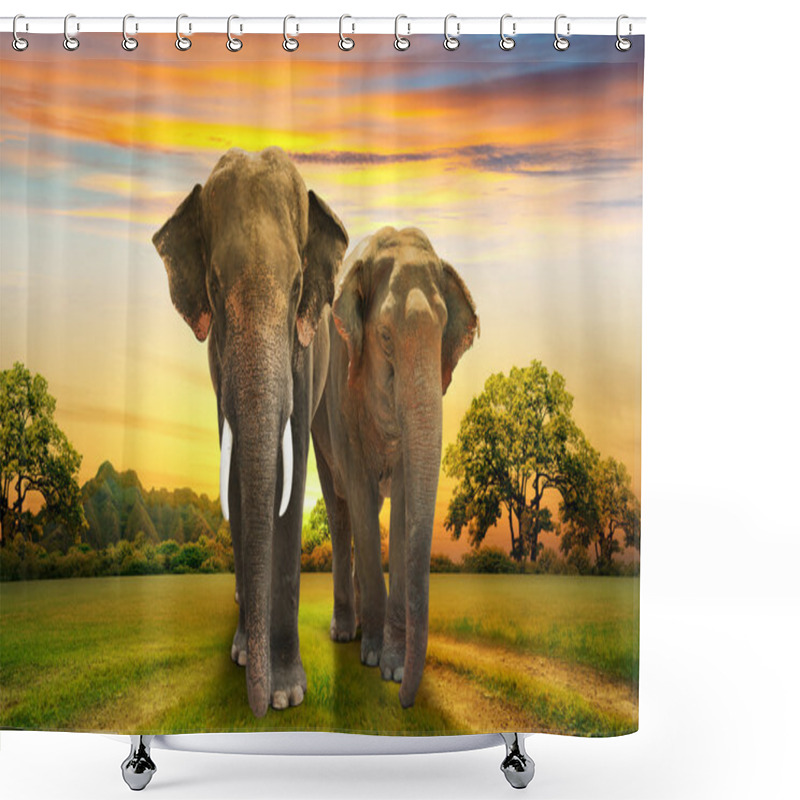 Personality  Elephants Family On Sunset Shower Curtains