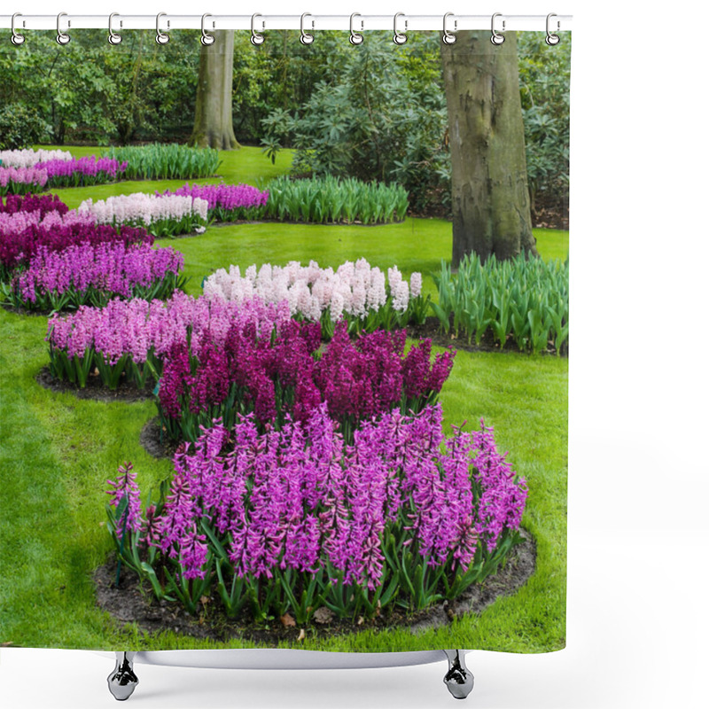 Personality  Beautiful Spring Flowers Shower Curtains