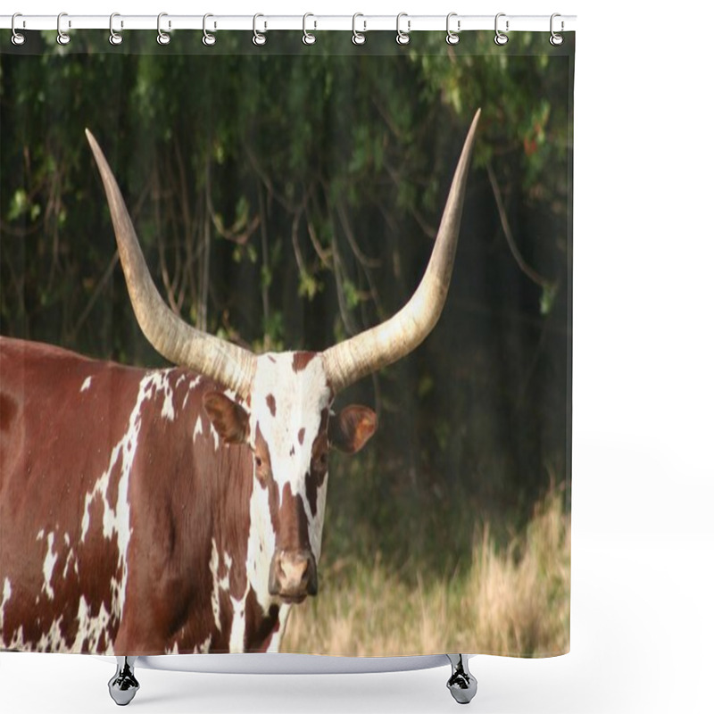 Personality  Longhorn Shower Curtains