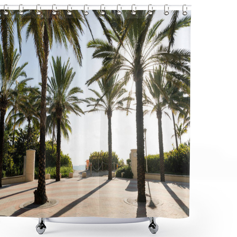 Personality  Palm Trees Standing Side By Side On A Sunny Day. Shower Curtains