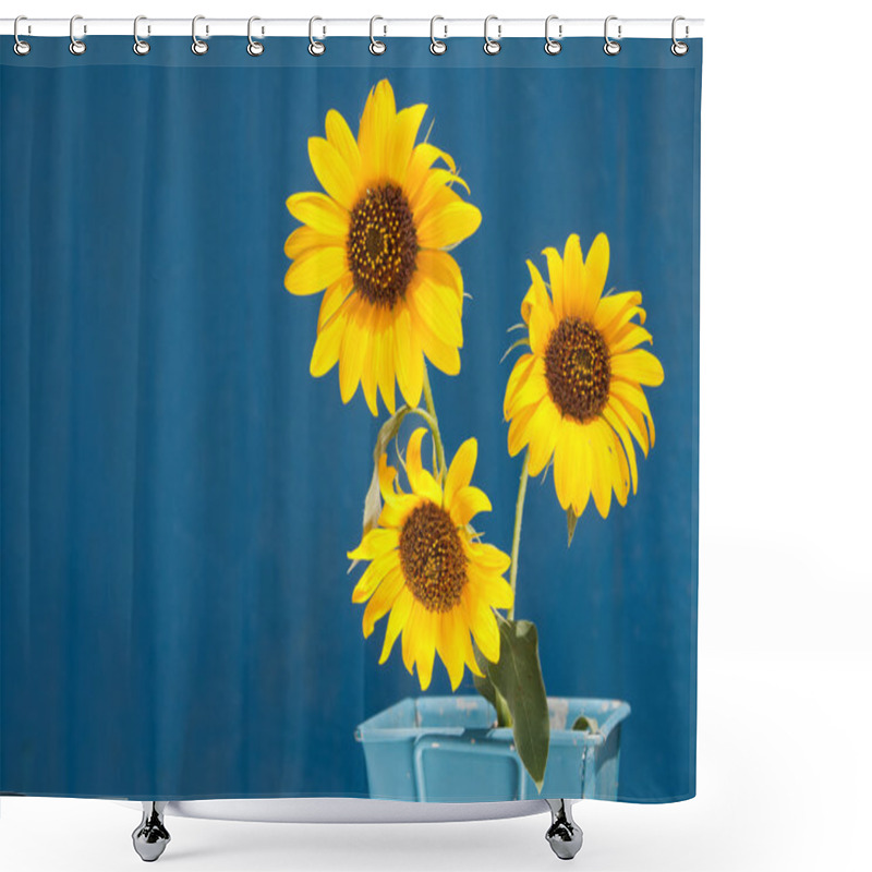 Personality  Sunflowers In A Light Blue Metal Pot Against Blue Barn Wall, With Copy Space Shower Curtains