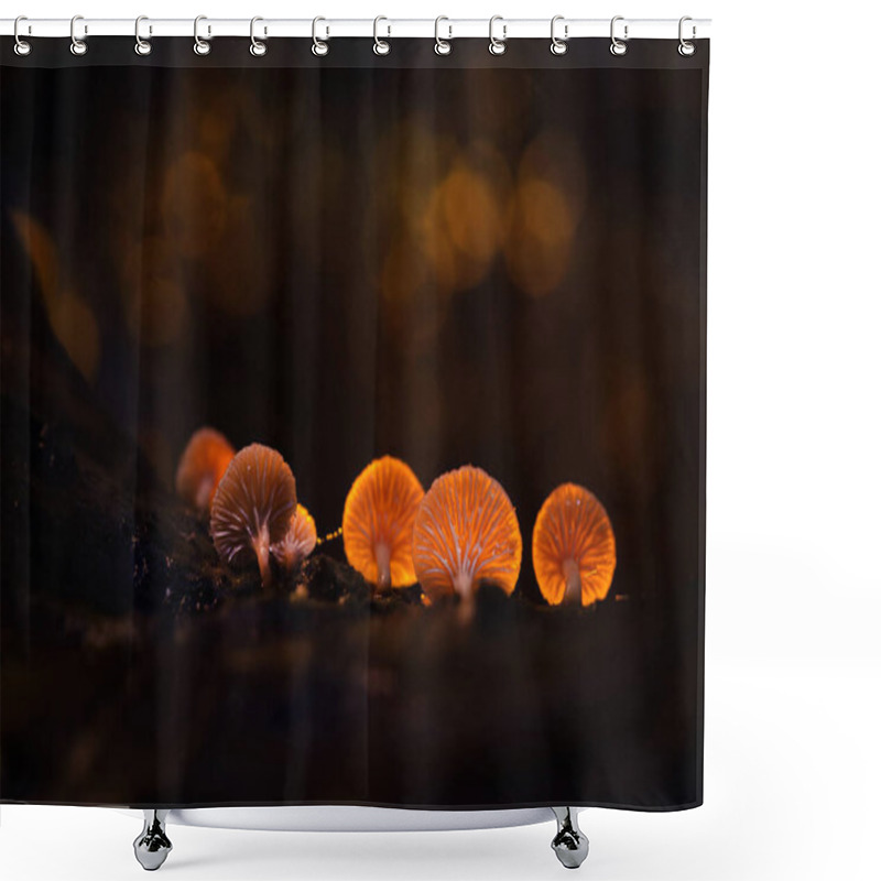 Personality  Glowing Mushrooms With Backlight. Dark Nature Background. Shower Curtains