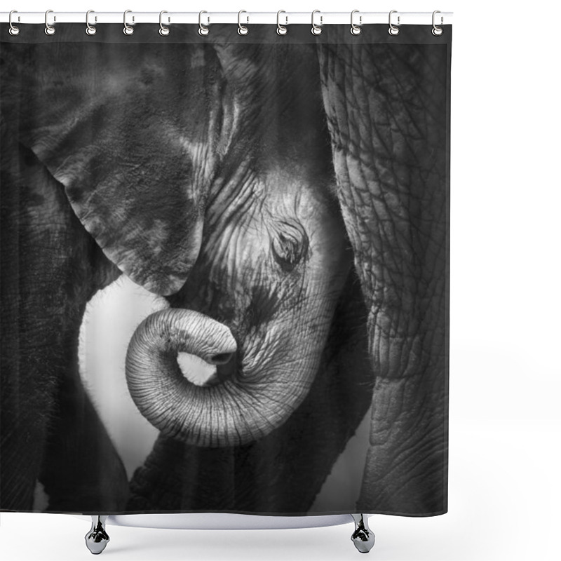 Personality  Baby Elephant Seeking Comfort Shower Curtains