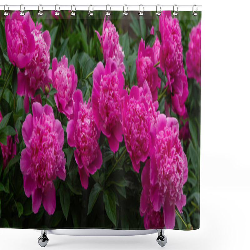 Personality  Flowering Peonies In The Garden Shower Curtains