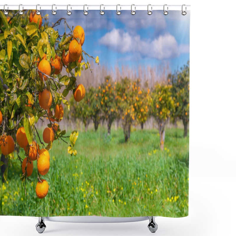 Personality  Morning In Orange Garden Shower Curtains