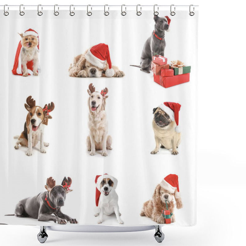 Personality  Dogs In Santa Claus Hats And With Christmas Gifts On White Background Shower Curtains