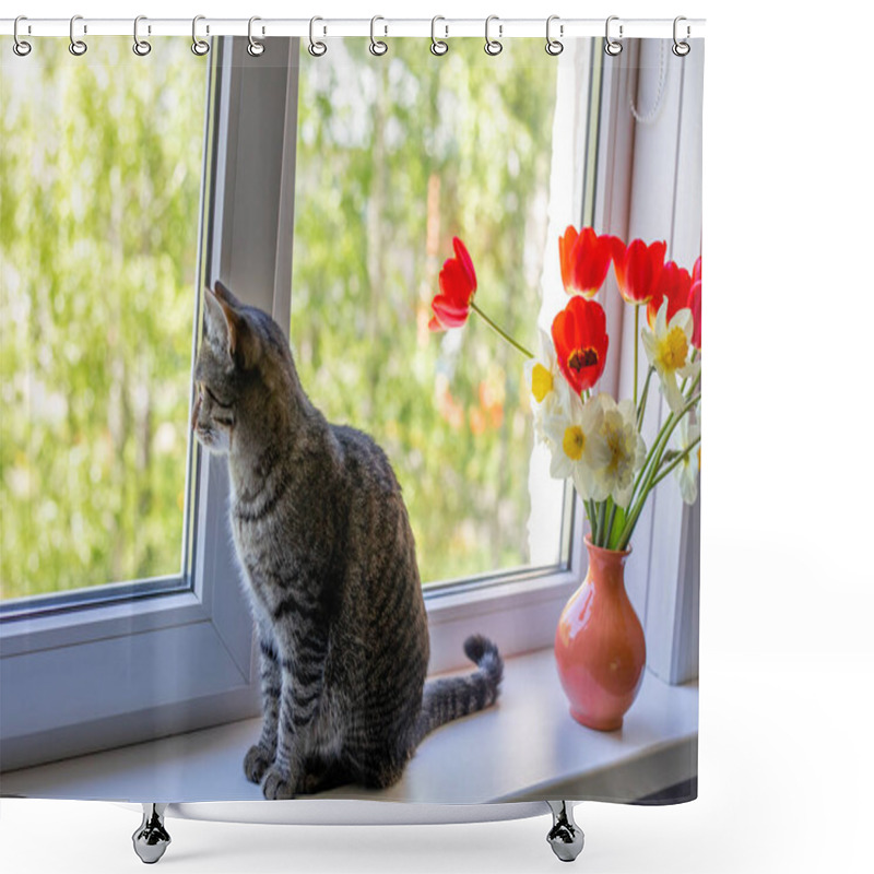 Personality  A Cat Sits On One Near Bright Red White And Yellow Flowers In A Vase. Outside The Window Is Green Foliage Of Trees. Sunlight Falls Through The Window Shower Curtains