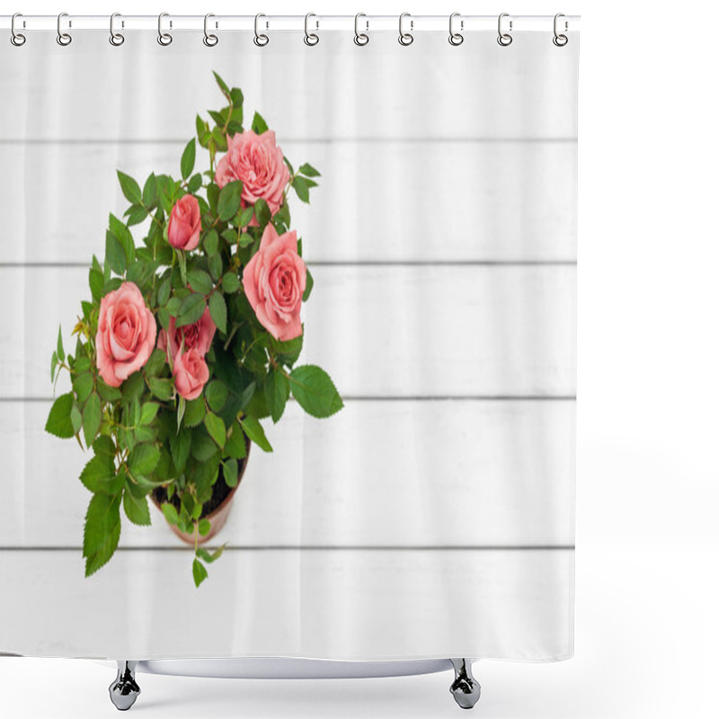 Personality  Roses In Flowerpot  Shower Curtains