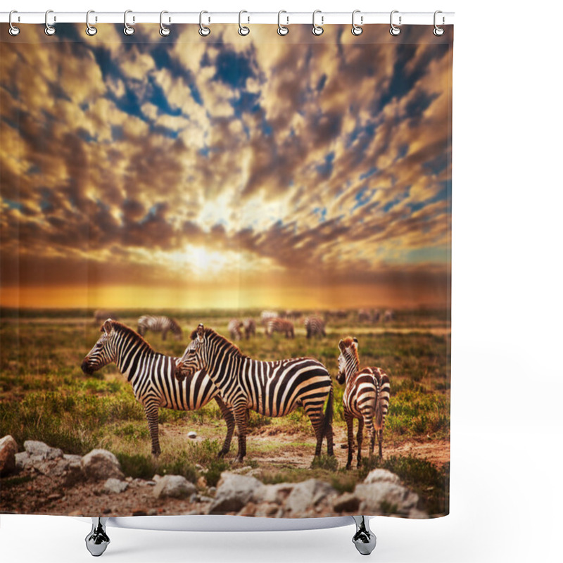 Personality  Zebras Herd On African Savanna At Sunset. Shower Curtains