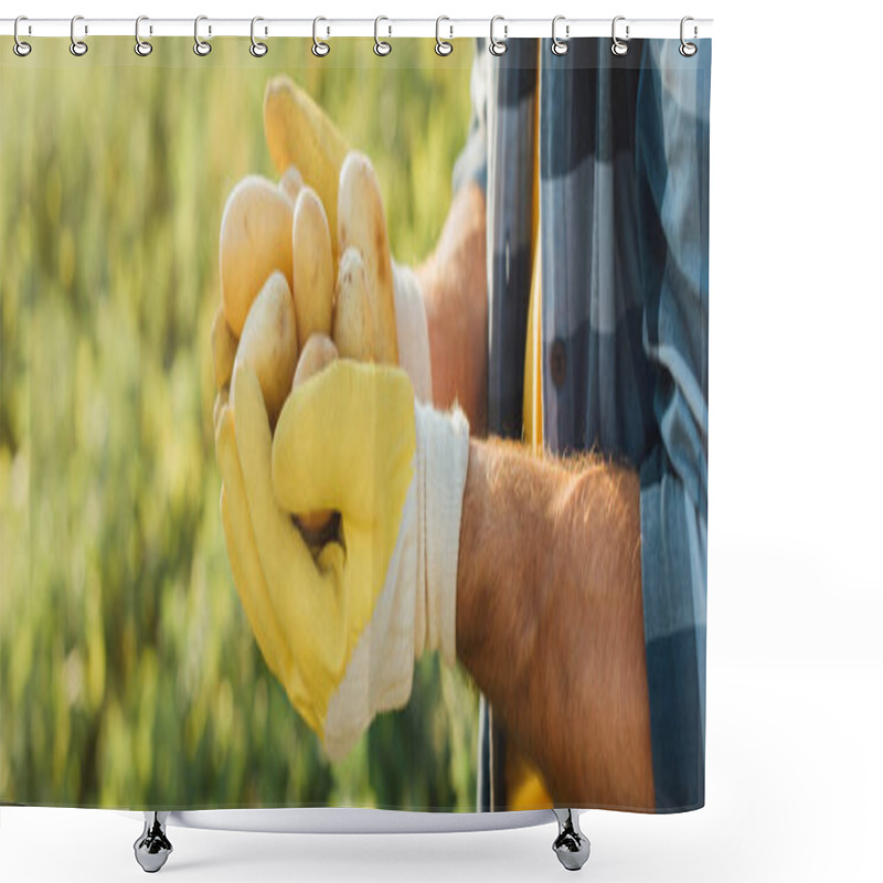 Personality  Partial View Of Farmer Holding Fresh Potatoes In Cupped Hands, Website Header Shower Curtains