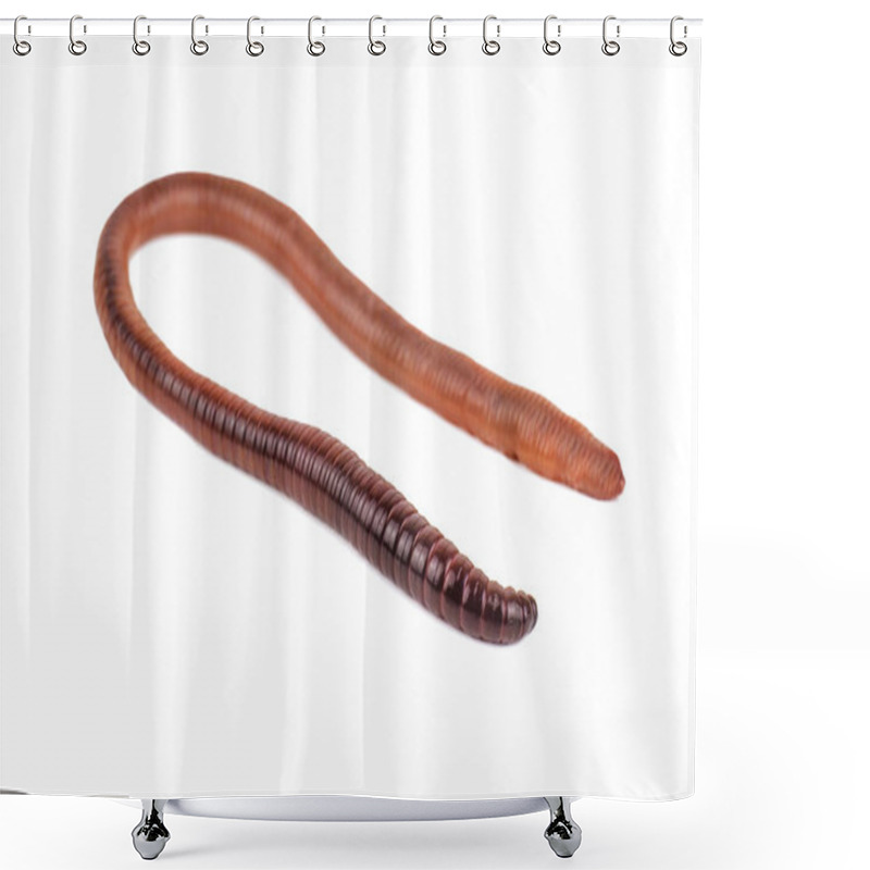 Personality  Rain Worm On Isolated White Shower Curtains