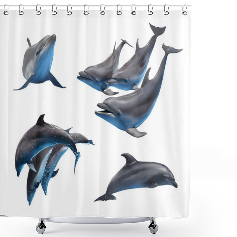 Personality  Beautiful Grey Bottlenose Dolphins On White Background, Collage Shower Curtains