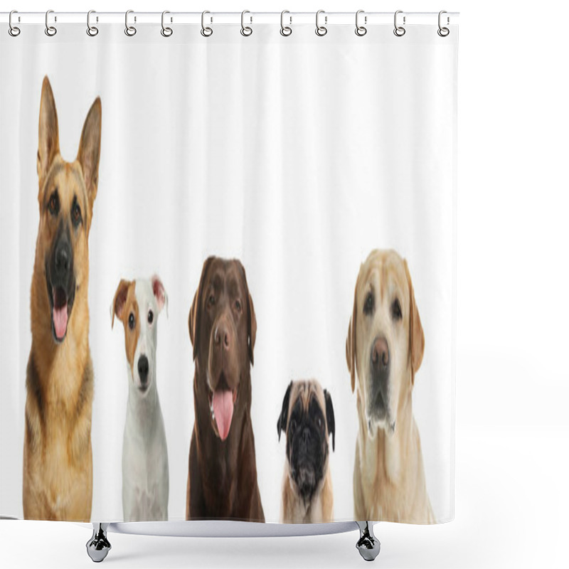 Personality  Collage With Different Dogs On White Background. Banner Design Shower Curtains