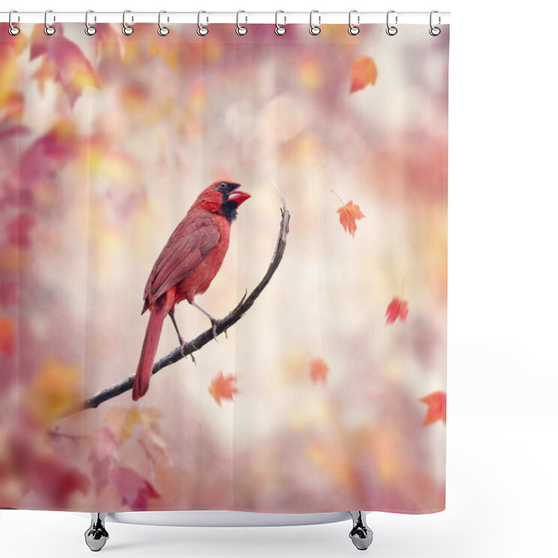 Personality  Male Northern Cardinal Perched In The Autumn Woods Shower Curtains