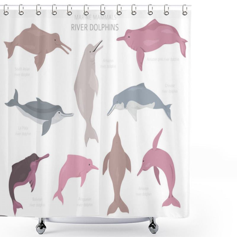 Personality  River Dolphins Set. Marine Mammals Collection. Cartoon Flat Styl Shower Curtains