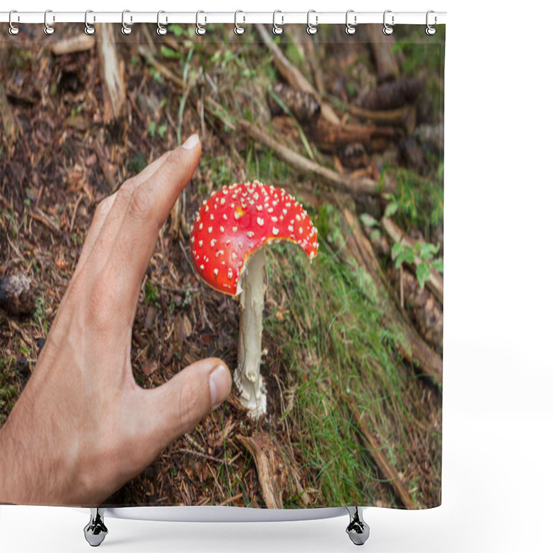 Personality  Young Amanita Muscaria Grown Up Inside A Forest In Dolomites (Italy) Shower Curtains