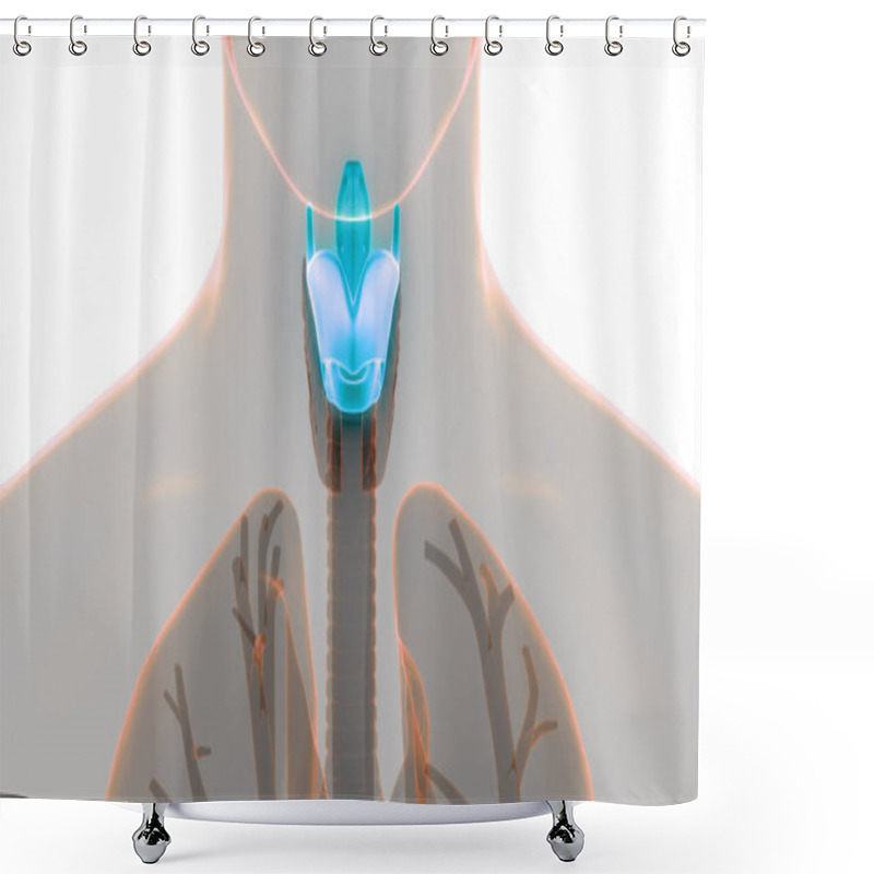 Personality  Human Body Glands Lobes Of Thyroid Gland Anatomy. 3D Shower Curtains