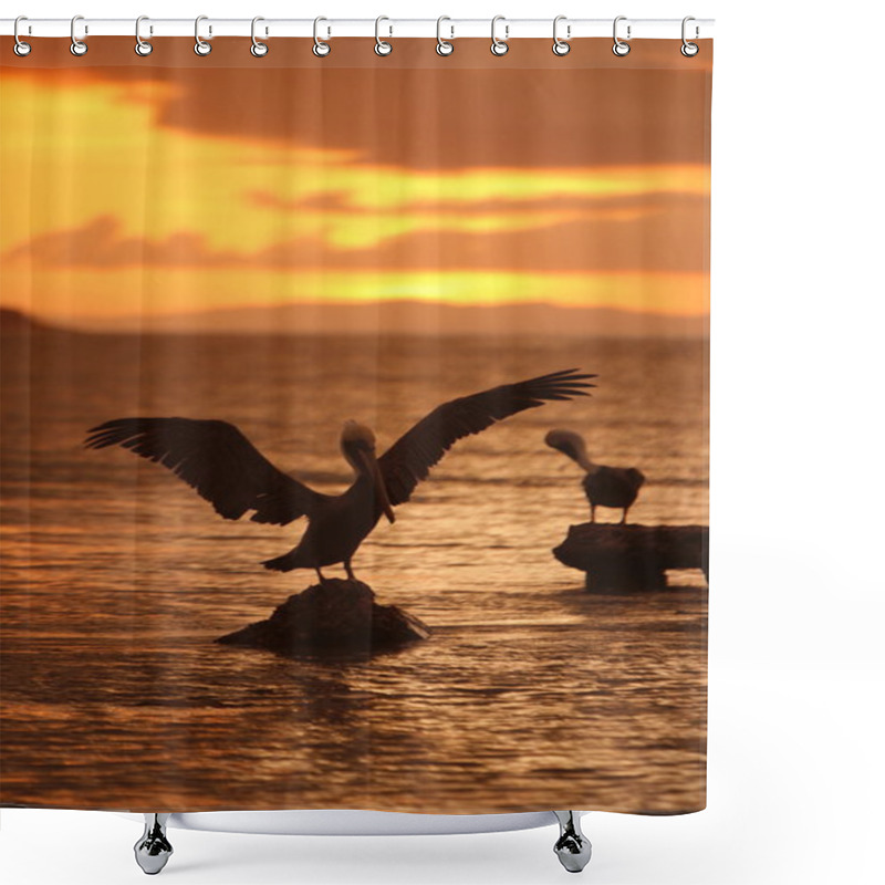 Personality  Two Pelicans Sitting On Stones In Sea Shower Curtains