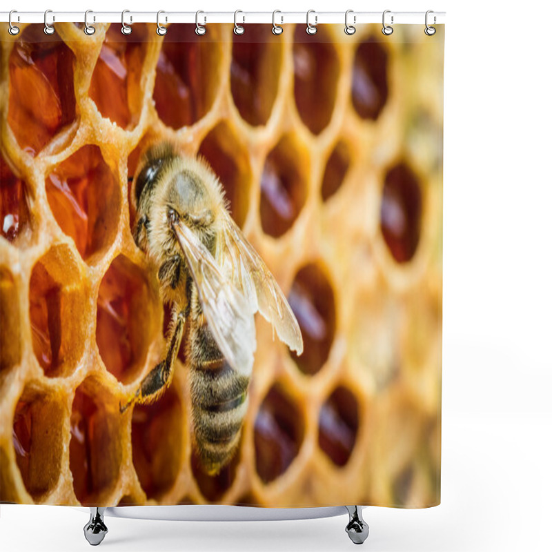 Personality  Bees In A Beehive On Honeycomb Shower Curtains