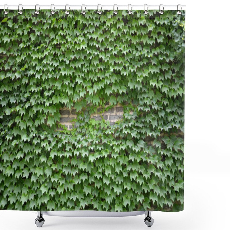 Personality  Plants And Wall Shower Curtains