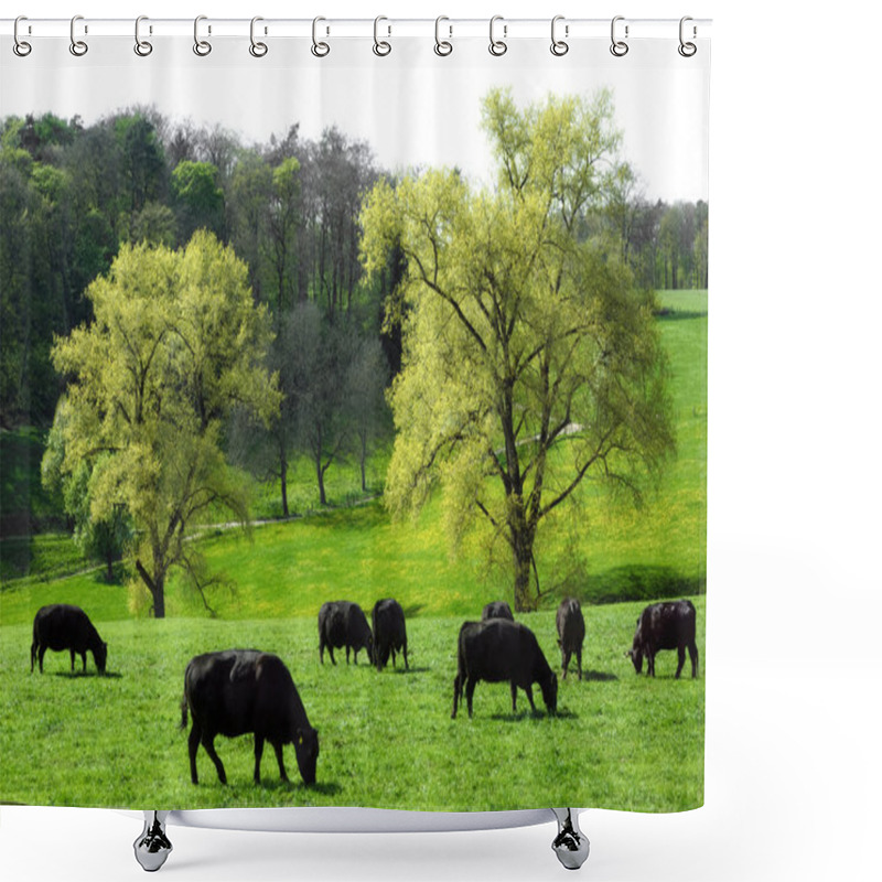 Personality  Idyllic Green Landscape With Cows Grazing Shower Curtains