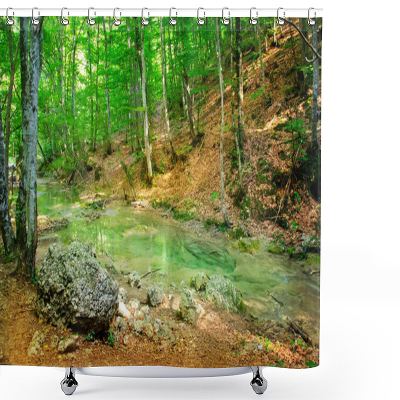 Personality  Waterfall In Crimea Spring Forest Shower Curtains