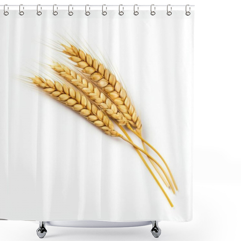 Personality  Three Golden Wheat Stalks Showcasing A Rich Harvest Ambiance. Shower Curtains