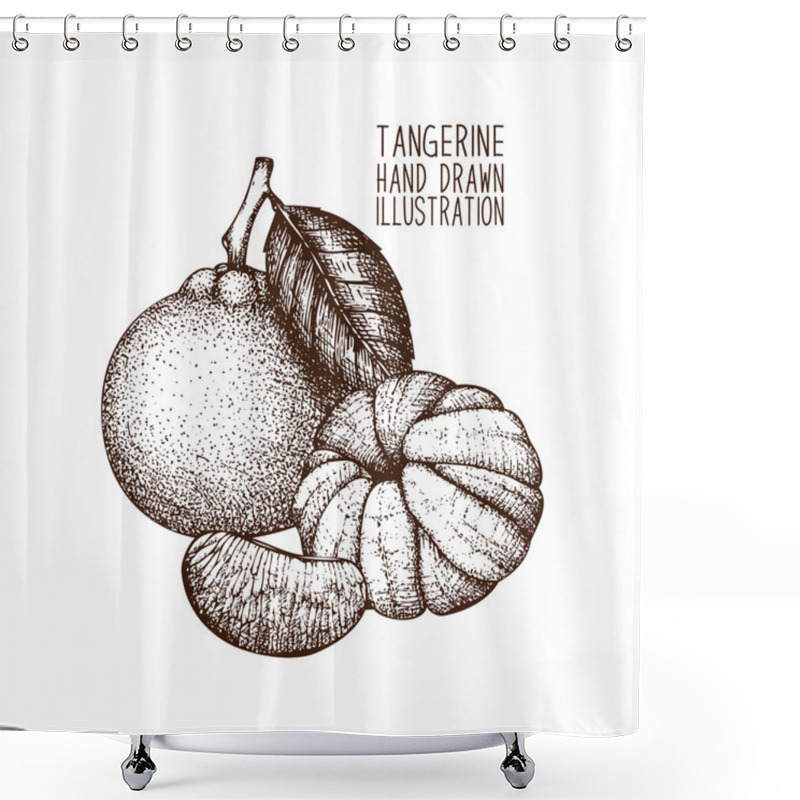 Personality  Hand Drawn Tangerine Fruits Shower Curtains