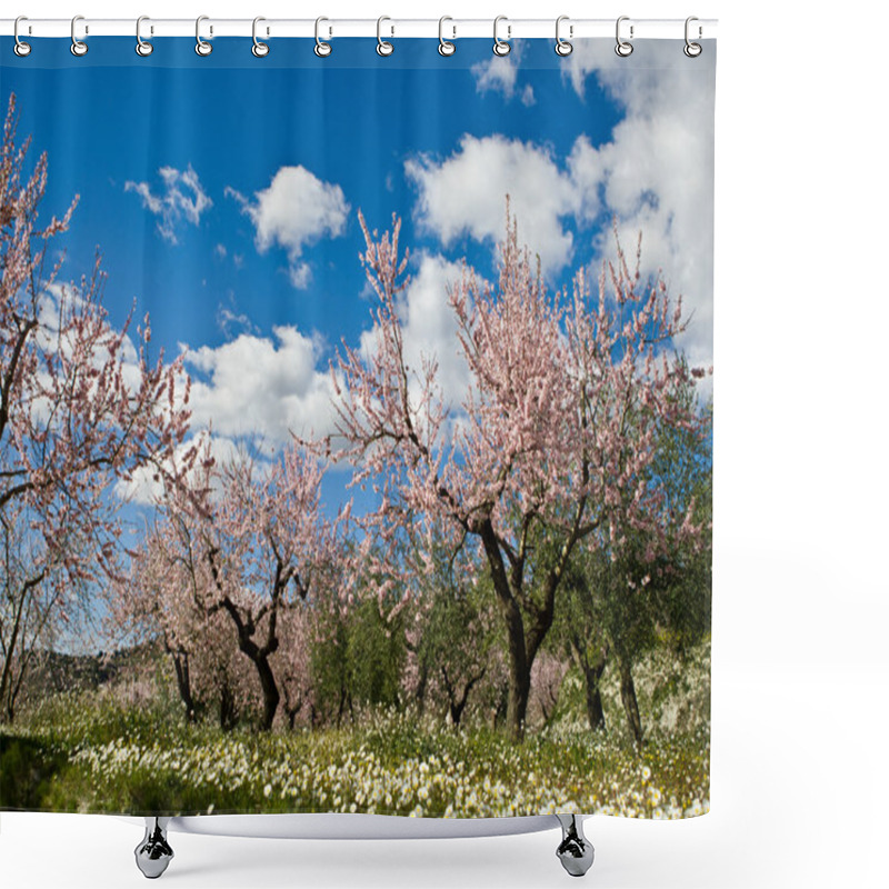 Personality  Almond Orchard In Blossom, Alicante , Spain Shower Curtains