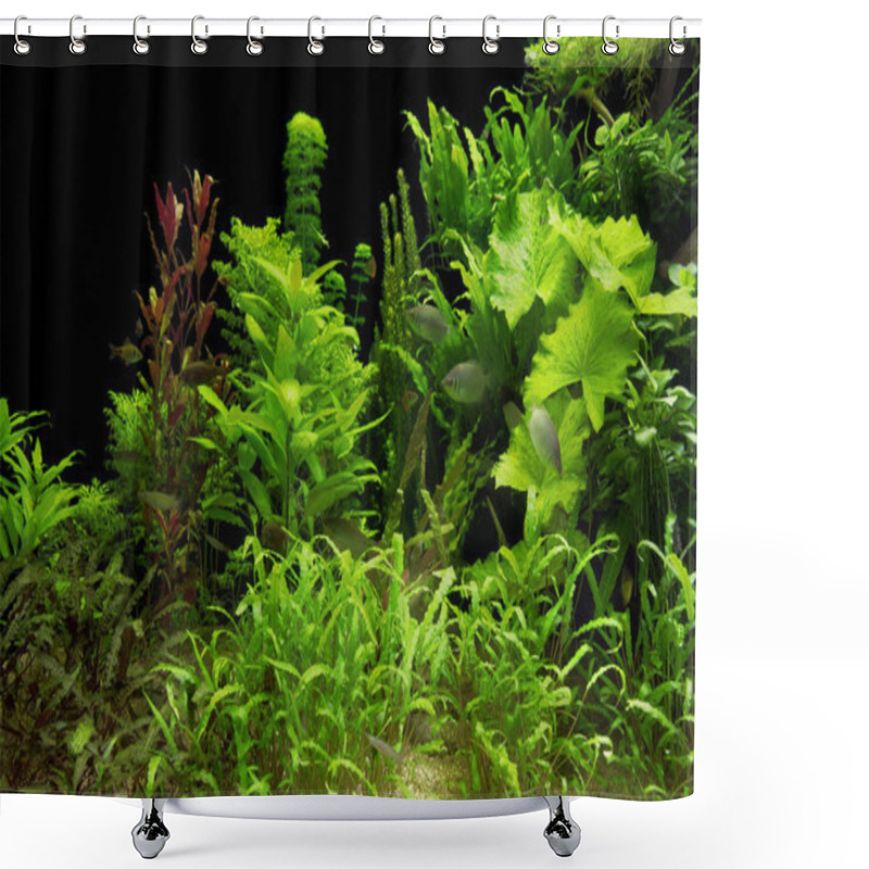 Personality  Water Plants Shower Curtains