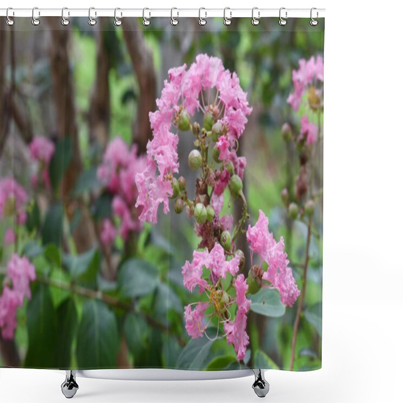 Personality  Crape Myrtle Beautiful Pink Flower  Shower Curtains