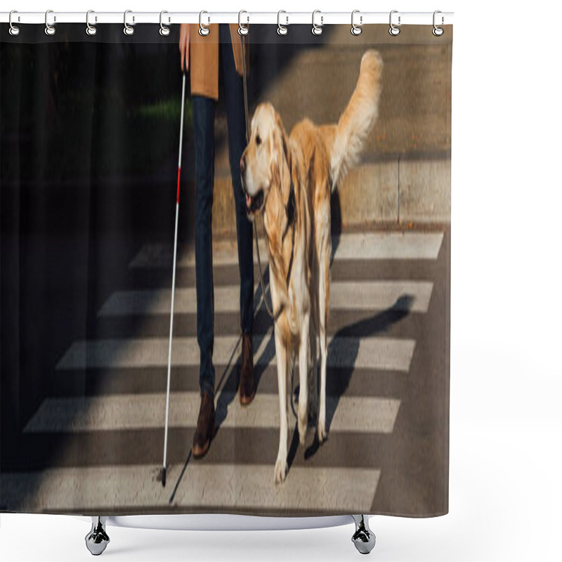 Personality  Cropped View Of Blind Man With Guide Dog Walking On Crosswalk, Panoramic Shot Shower Curtains